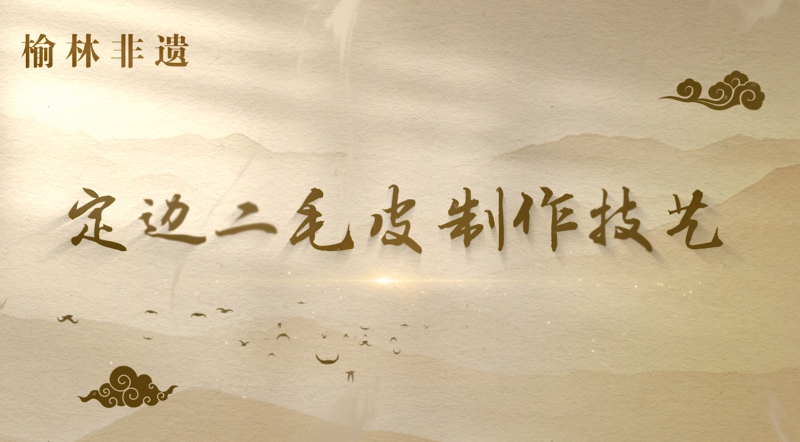 定边二毛皮